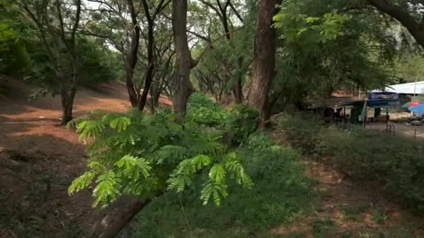 Prachtige Rivier Omgeven Door Groen Bomen Horizontale Video — Stockvideo