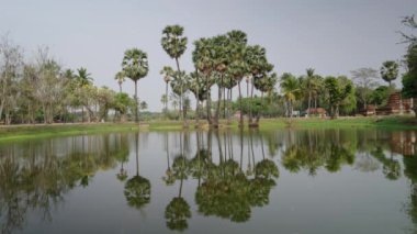 Arka planda palmiye ağaçları olan güzel bir göl manzarası - 4K Yatay video