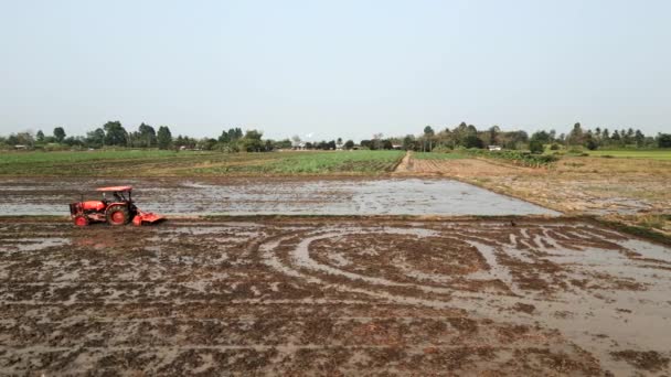 Rice Fields Harvested Orange Tractor Horizontal Local Scenery — Stock Video
