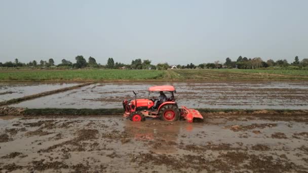 Tractor Naranja Cosechando Arrozal Paisaje Local Horizontal — Vídeo de stock