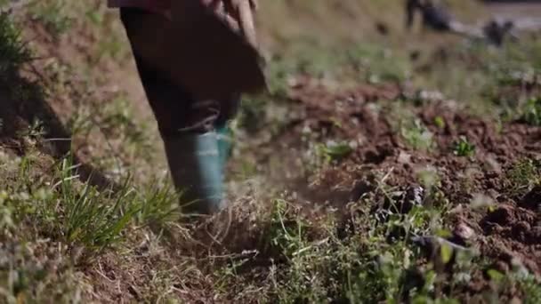 无法辨认的农民在庄稼地里干活 4K水平传统生活方式 — 图库视频影像