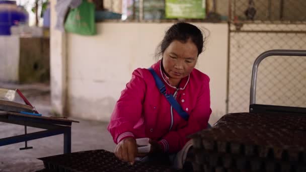 Starší Asijská Žena Dávat Semena Malých Květináčích Thajsku Horizontální Traditionaal — Stock video
