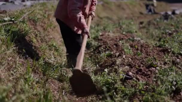 无法辨认的农民在果园中耕作土地 4K水平传统生活方式 — 图库视频影像