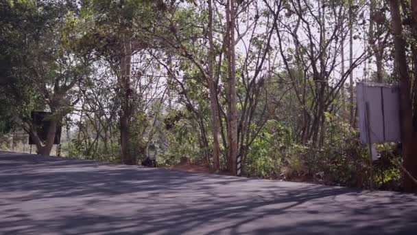 Zakryta Kobieta Zbiera Śmieci Tajlandzkim Lesie Horyzontalny Tradycyjny Styl Życia — Wideo stockowe