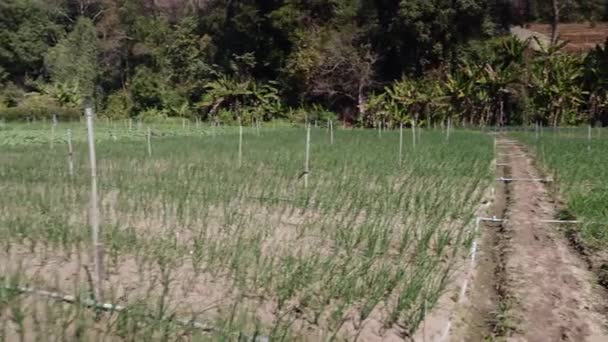 Plano Rotativo Campo Cultivo Com Canais Irrigação Estilo Vida Horizontal — Vídeo de Stock