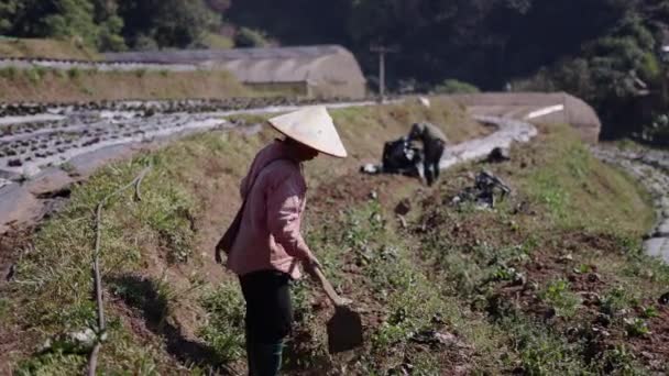 在泰国一个村庄的果园里耕作土地的农民 4K水平传统生活方式 — 图库视频影像