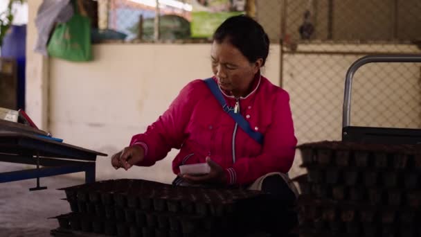 Femme Adulte Asiatique Distribuant Des Graines Parmi Les Pots Fleurs — Video
