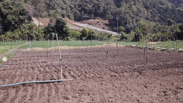 Campo Cultivado Terra Com Dutos Irrigação Tailândia Horizontal Traditionaal Lifestyle — Vídeo de Stock