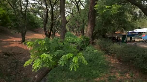Schöner Fluss Umgeben Von Viel Grün Und Bäumen Horizontalvideo — Stockvideo