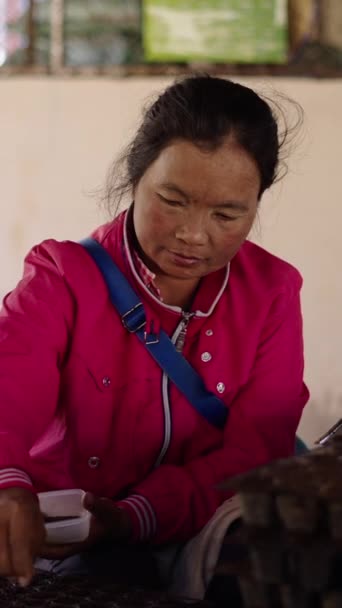 Ältere Asiatische Frau Setzt Samen Kleine Töpfe Thailand Fhd Vertikaler — Stockvideo
