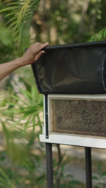 Азіатський Чоловік Дивиться Свій Мобільний Телефон Торкаючись Пластику Коробці Бджіл — стокове відео
