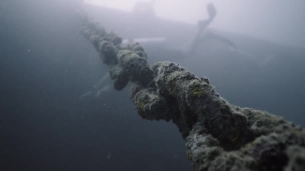 Diver Passes Divers Descent Rope Koh Tao Horizontal Video — Stock Video