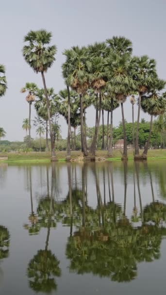 Вид Красиве Озеро Пальмами Задньому Плані Fhd Вертикальне Відео — стокове відео