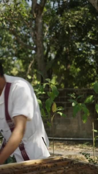 Beekeeper Aasiassa Avaamalla Laatikko Tupakointi Fhd Vertical Video — kuvapankkivideo