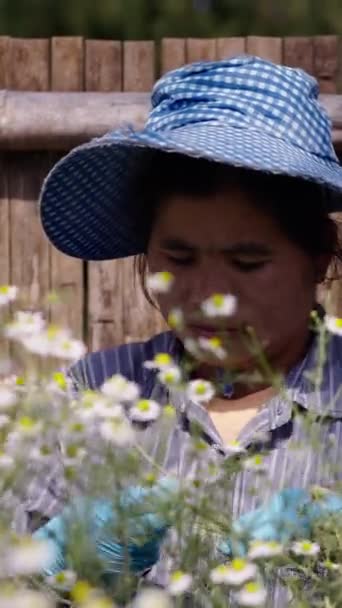 Vuxen Asiatisk Kvinna Som Hanterar Vita Blommande Växter Fhd Vertikal — Stockvideo