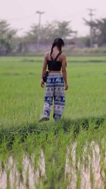 无法辨认的女孩走过泰国的稻田 Fhd垂直录像 — 图库视频影像