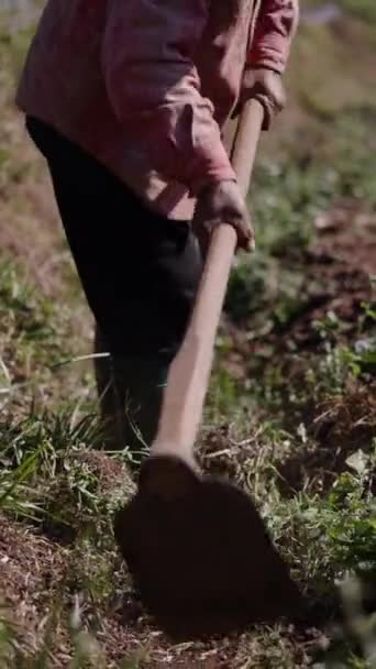 无法辨认的农民在果园中耕作土地 Fhd垂直传统生活方式 — 图库视频影像