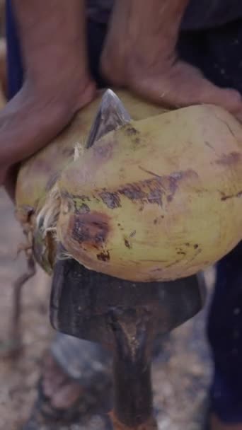 Zeichnung Eines Scharfen Werkzeugs Das Kokosnüsse Schneidet Fullhd Vertical Video — Stockvideo