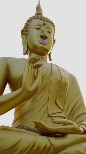 Plan Una Estatua Religiosa Dorada Tailandia Fhd Vídeo Vertical — Vídeos de Stock