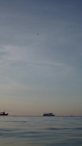Pájaro Volando Sobre Agua Barcos Atardecer Tailandia Fhd Vertical — Vídeo de stock
