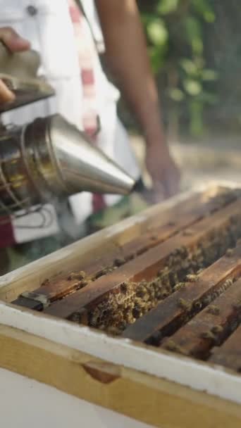 无法辨认的人从一盒蜜蜂中喷出烟雾 Fhd垂直视频 — 图库视频影像