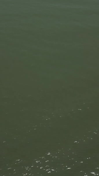 Loď Pluje Širokým Říčním Kanálem Fhd Vertikální Drone Video — Stock video