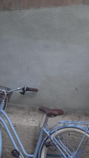 Μαροκινή Κοπέλα Στηρίζεται Τσιμεντένιο Τοίχο Κάνει Ένα Τηλεφώνημα Ποδήλατο Μέτρια — Αρχείο Βίντεο