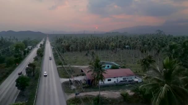 Dron Wchodzi Lasu Palmowego Pięknym Zachodzie Słońca Horizontal Video — Wideo stockowe