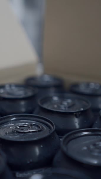 ビールの新鮮なバッチ缶詰にされ ビール工場で箱詰め クローズアップショット Fullhd垂直ビデオ — ストック動画