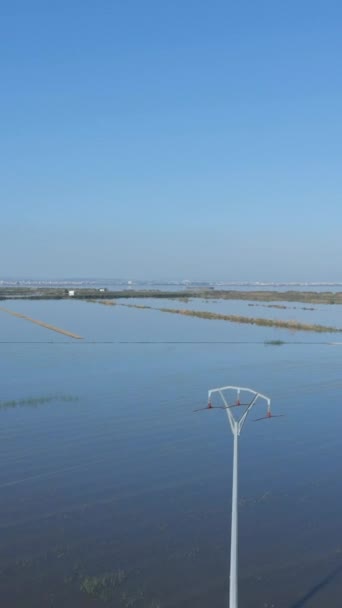 Prachtige Antenne Drone Vooruit Bewegende Video Van Rijen Landbouwveld Water — Stockvideo