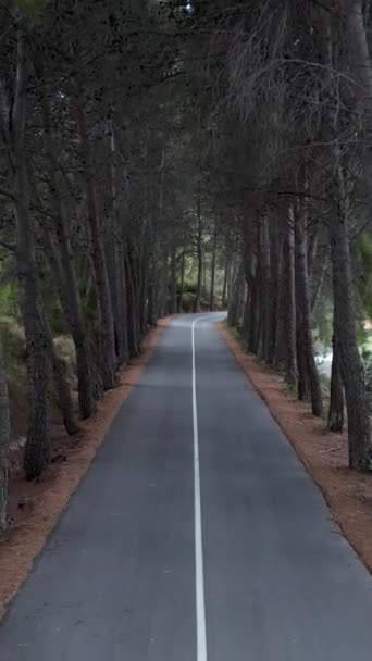 Выталкивание Пары Идущей Вперед Тропинке Деревьев Испании Видео Вертикали — стоковое видео