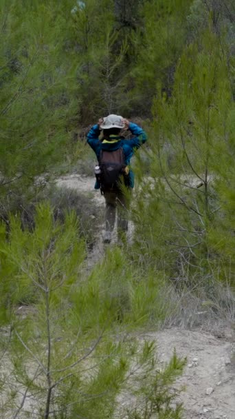 Ampio Slomo Dietro Ragazza Trekking Nel Verde Bosco Conifere Spagna — Video Stock