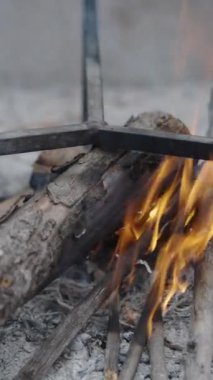 Paella yapmak için yanan odunların kapatılması - İspanyol geleneksel yemekleri Dikey