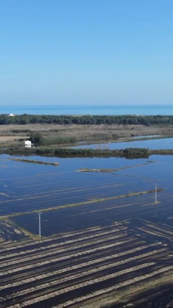 Lindas Imagens Aéreas Drones Fileiras Campo Agrícola Irrigação Água Submersas — Vídeo de Stock