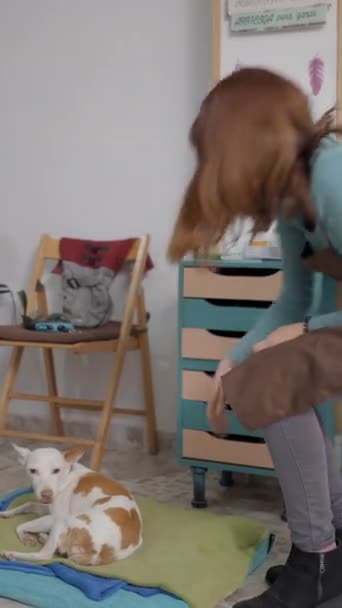 Artesana Freelancer Con Perro Mascota Dentro Del Taller Mano Fullhd — Vídeo de stock