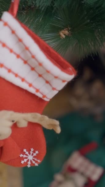 Wiszący Czerwony Worek Świąteczny Kotkiem Pod Choinką Rack Focus Shot — Wideo stockowe