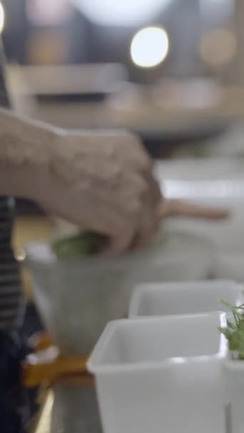 Sebze Bitkileri Plastik Kaplarda Yakın Görüş Fullhd Dikey Video — Stok video