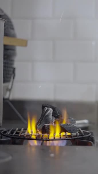 Stukken Houtskool Branden Rooster Fornuis Restaurant Keuken Fullhd Verticale Video — Stockvideo