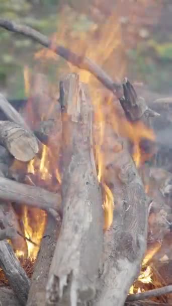 Gesichtsloser Mann Entzündet Feuer Für Einen Grill Mit Kochholz Freien — Stockvideo