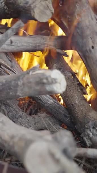 Homme Méconnaissable Brûle Bois Dans Barbecue Charbon Bois Pour Faire — Video