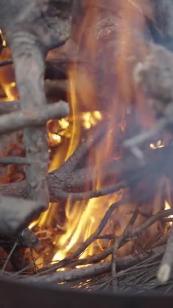 Großaufnahme Von Holzscheiten Die Holzgrill Brennen Fullhd Vertikales Video — Stockvideo