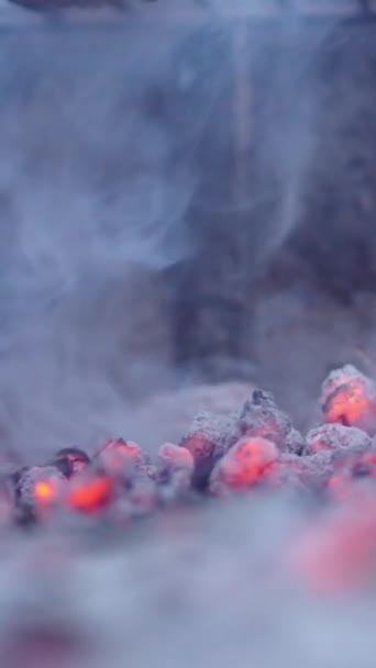 Éclaircir Les Cendres Bois Fumée Qui Sortent Plan Rapproché Extrême — Video