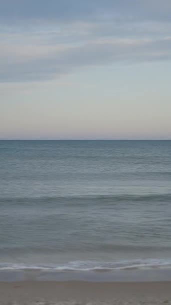ビーチで働くマッサージセラピストのショットを明らかに 海の波とマッサージを与える女性の側面のビュー Fullhd垂直ビデオ — ストック動画