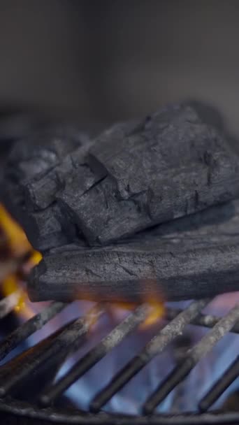 Vue Rapprochée Combustion Charbon Bois Sur Grille Gril Sur Poêle — Video