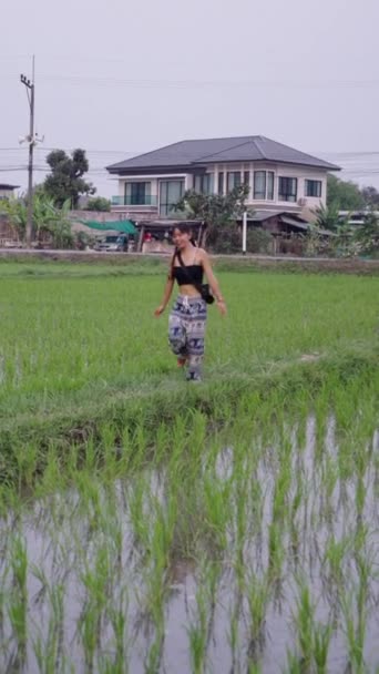 Junge Frau Kommt Aus Einem Reisfeld Thailand Fhd Vertikales Video — Stockvideo