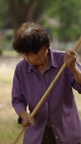 Elderly Lady Sweeping Floor Nature Fhd Vertical Video — стоковое видео