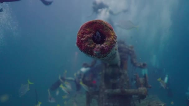 Bir Balık Arkeolojik Bir Alana Girip Çıkıyor Yatay Video — Stok video