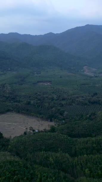 Tierras Agrícolas Medio Verdes Montañas Tailandia Fullhd Vídeo Vertical — Vídeos de Stock