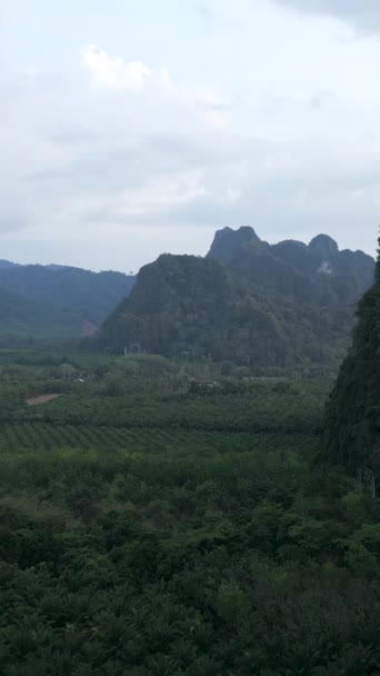 Κηφήνας Άποψη Των Βουνών Khao Sok Fullhd Κάθετη Βίντεο — Αρχείο Βίντεο