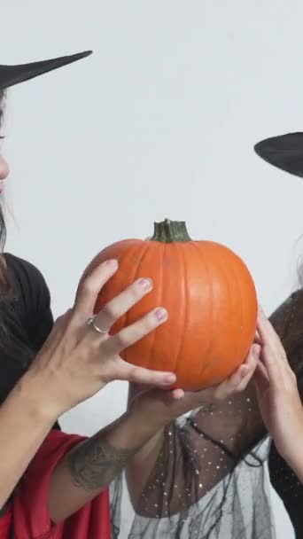 Gorgeous Girlfriends Halloween Witch Hat Costumes Holding Feeling Smooth Texture — Stock Video